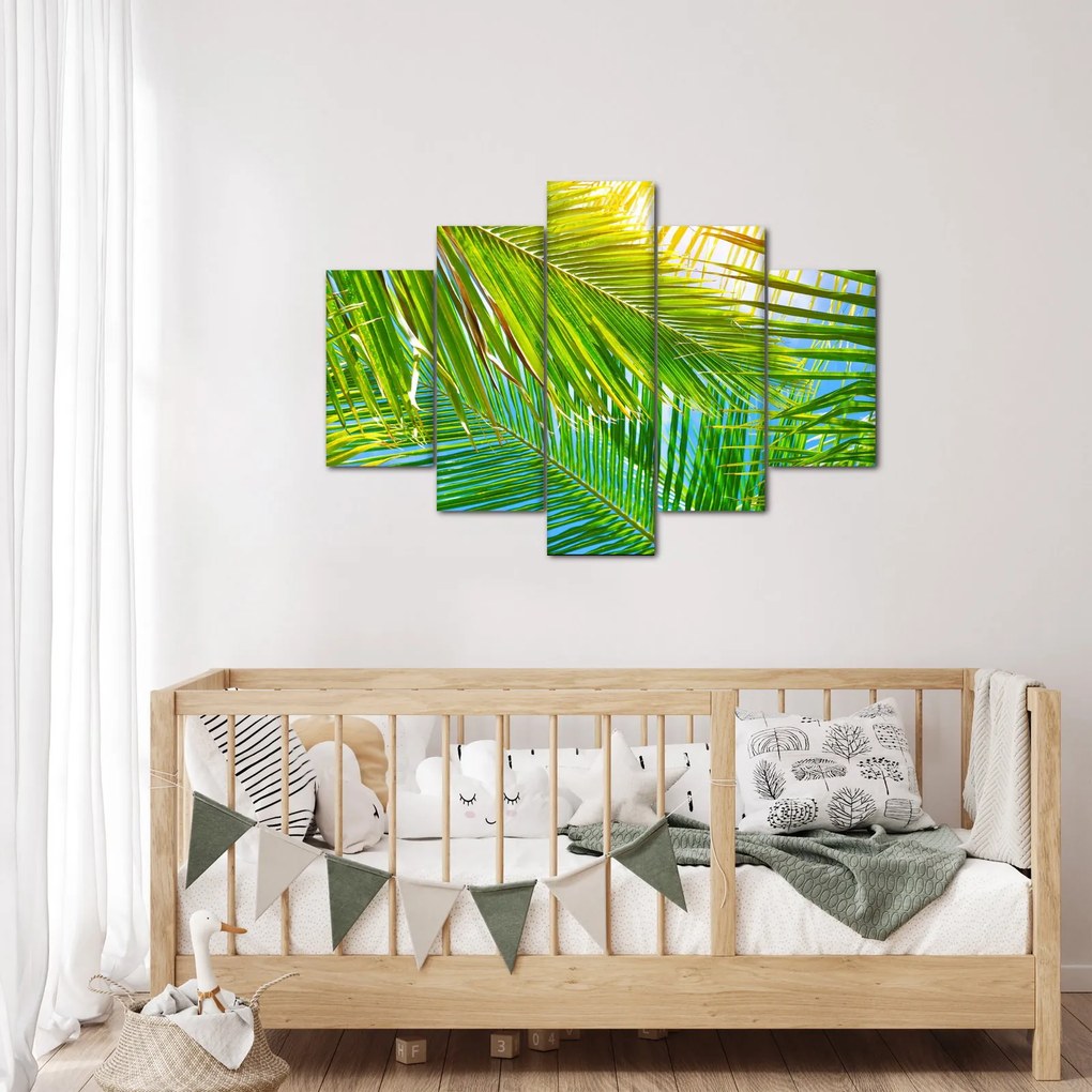 Kép - Pálmalevelek (150x105 cm)