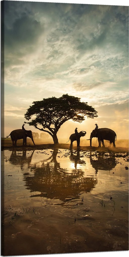 Vászonkép Emberek az elefántokon naplementekor 60x120 cm