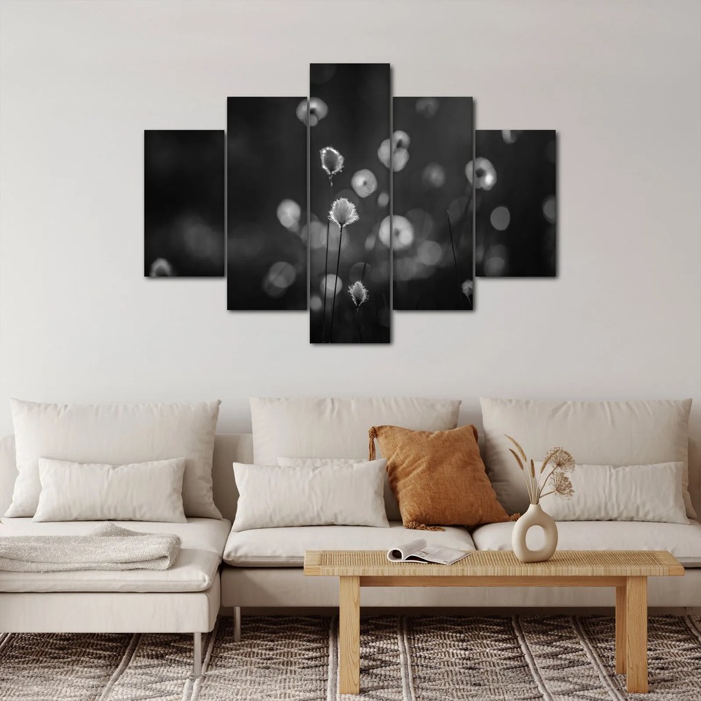 Kép - Pamutfű a réten (150x105 cm)