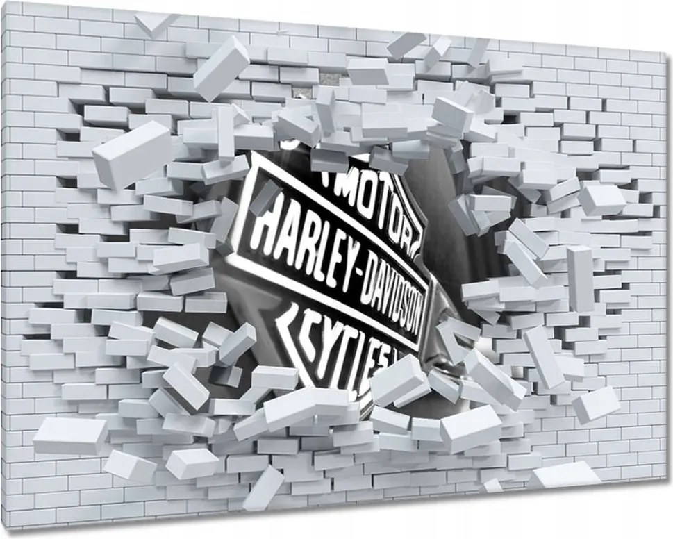 Vászonkép 90x60 Harley Davidson logó