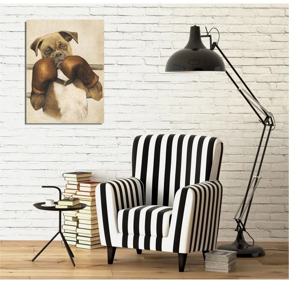 Boxer vászon fali kép, 30 x 40 cm