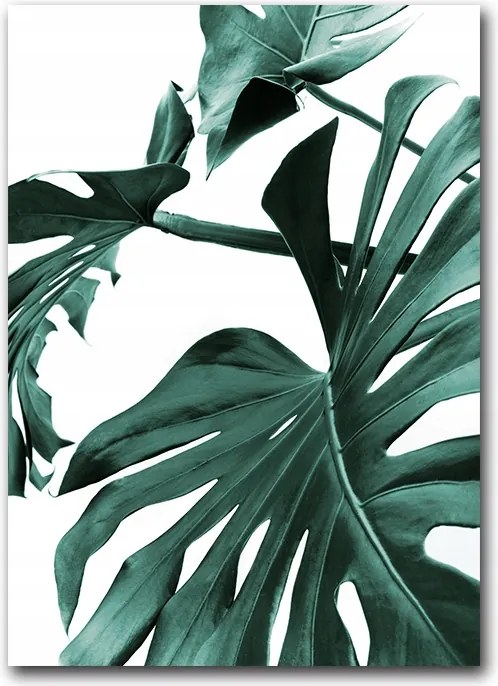 Monster Levelek poszter B1 100x70cm kép #138