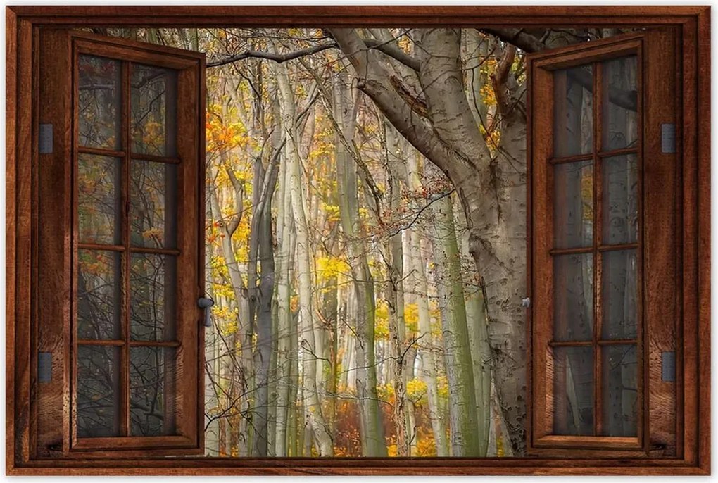 Poszterek 60x40 Tájkép Látvány