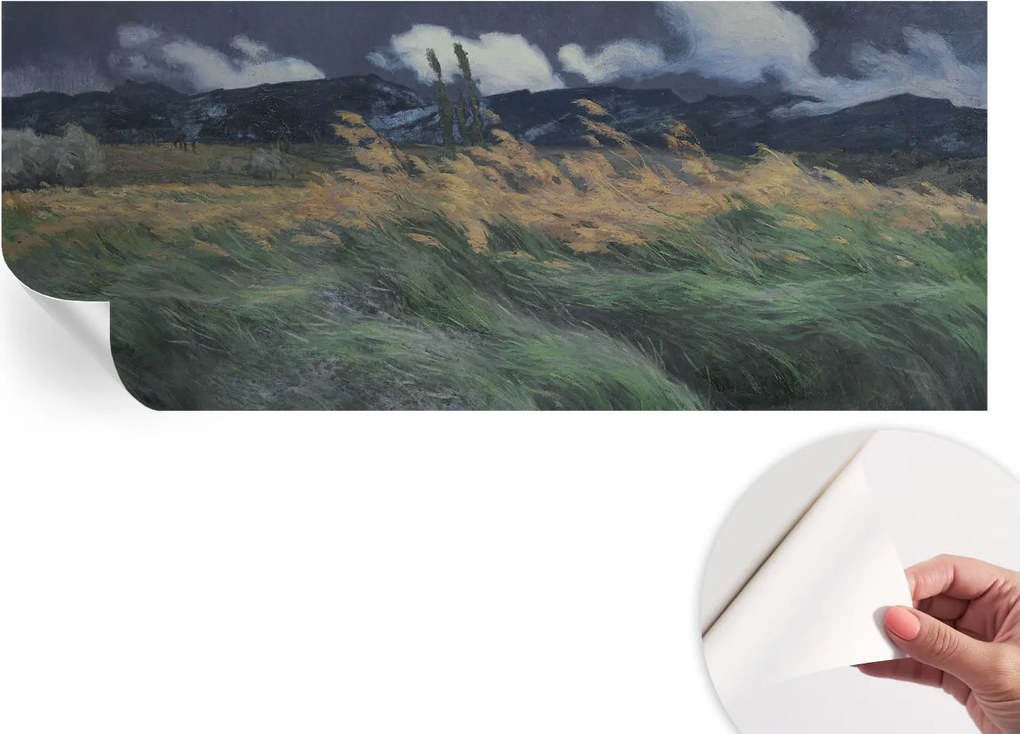 Dekoratív öntapadós fotótapéta irodába Felfújható fű 250x104 cm