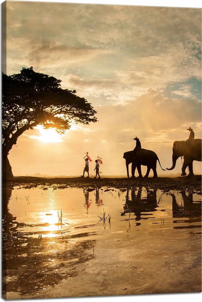 Vászonkép Emberek az elefántokon Naplemente Afrika Szavanna 40x60 cm