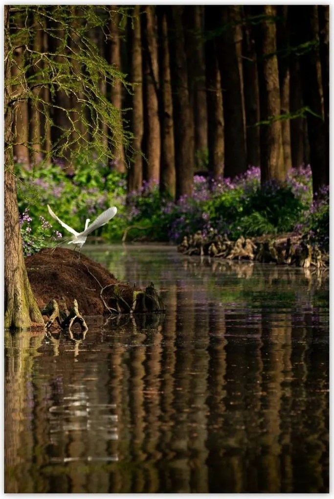 Poszterek 80x120 Tájkép Látvány