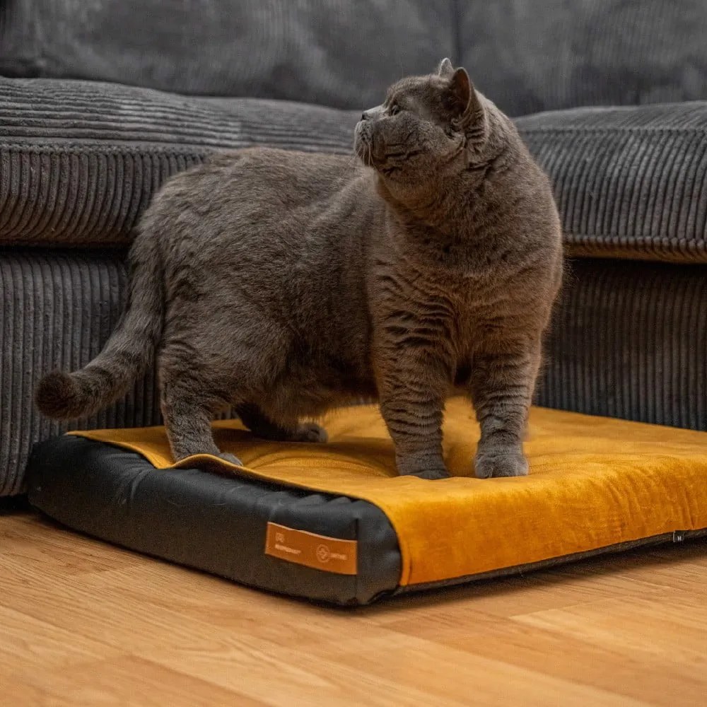 Fekete ortopédiai matrac kutyáknak 110x90 cm Ori XXL – Rexproduct