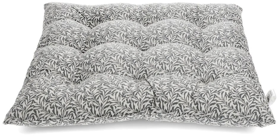 Pamut székpárna 37x37 cm Leaf – Rex London