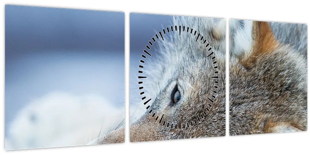 Kép - Farkas (órával) (90x30 cm)