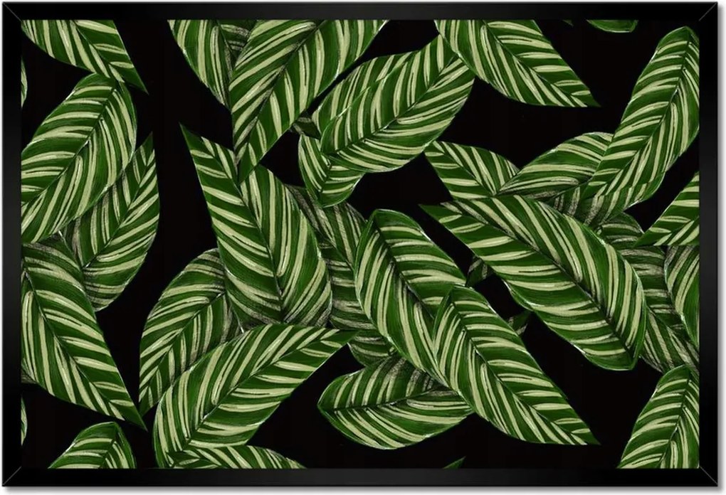 Poszter keretben 60x40 Zöld levelek Trópusok