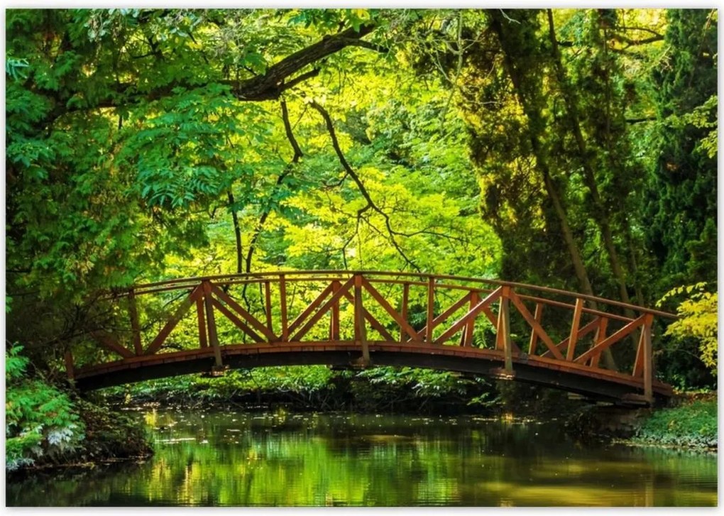 Poszterek 100x70 Fa híd