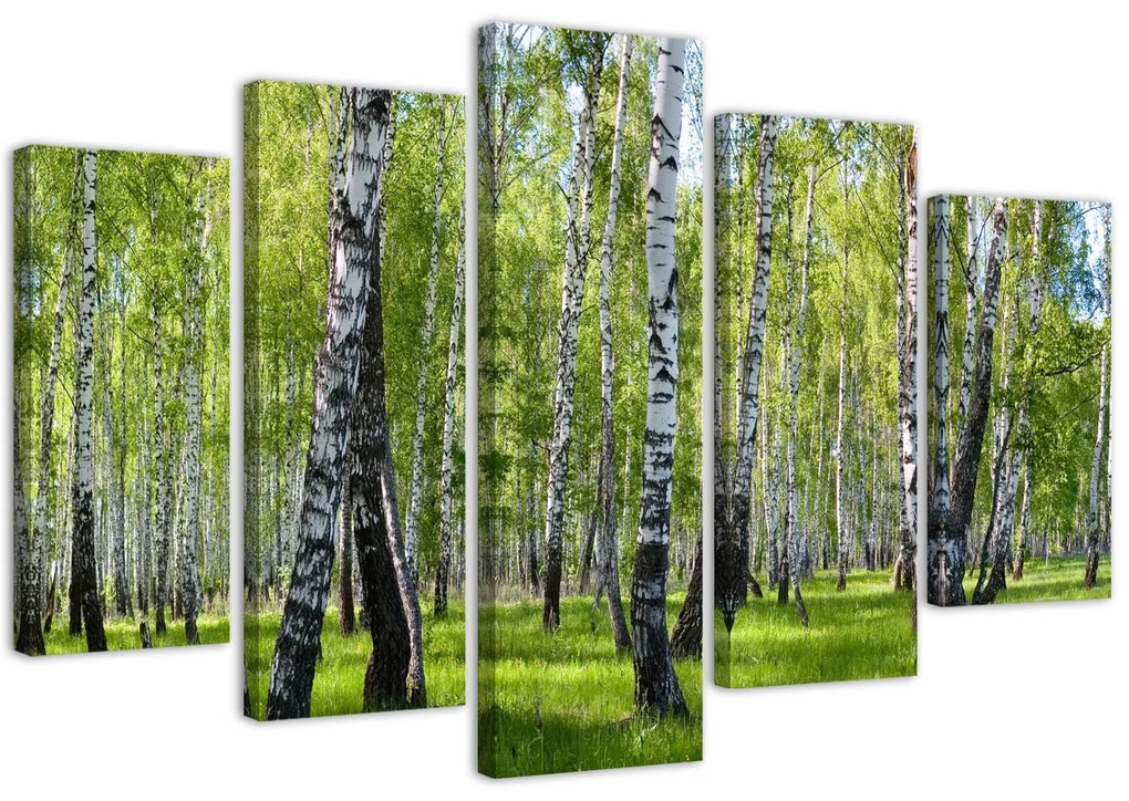 Gario Vászonkép Nyírfák - 5 részes Méret: 150 x 100 cm