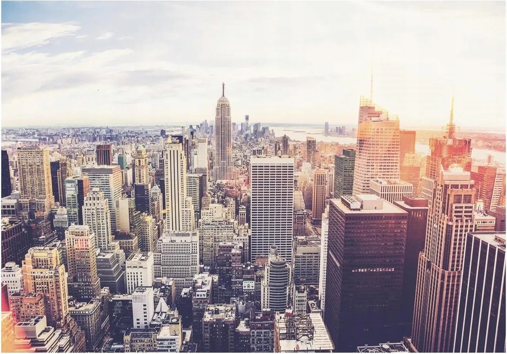 Fotótapéta város új york épületek égbolt 208 x 14