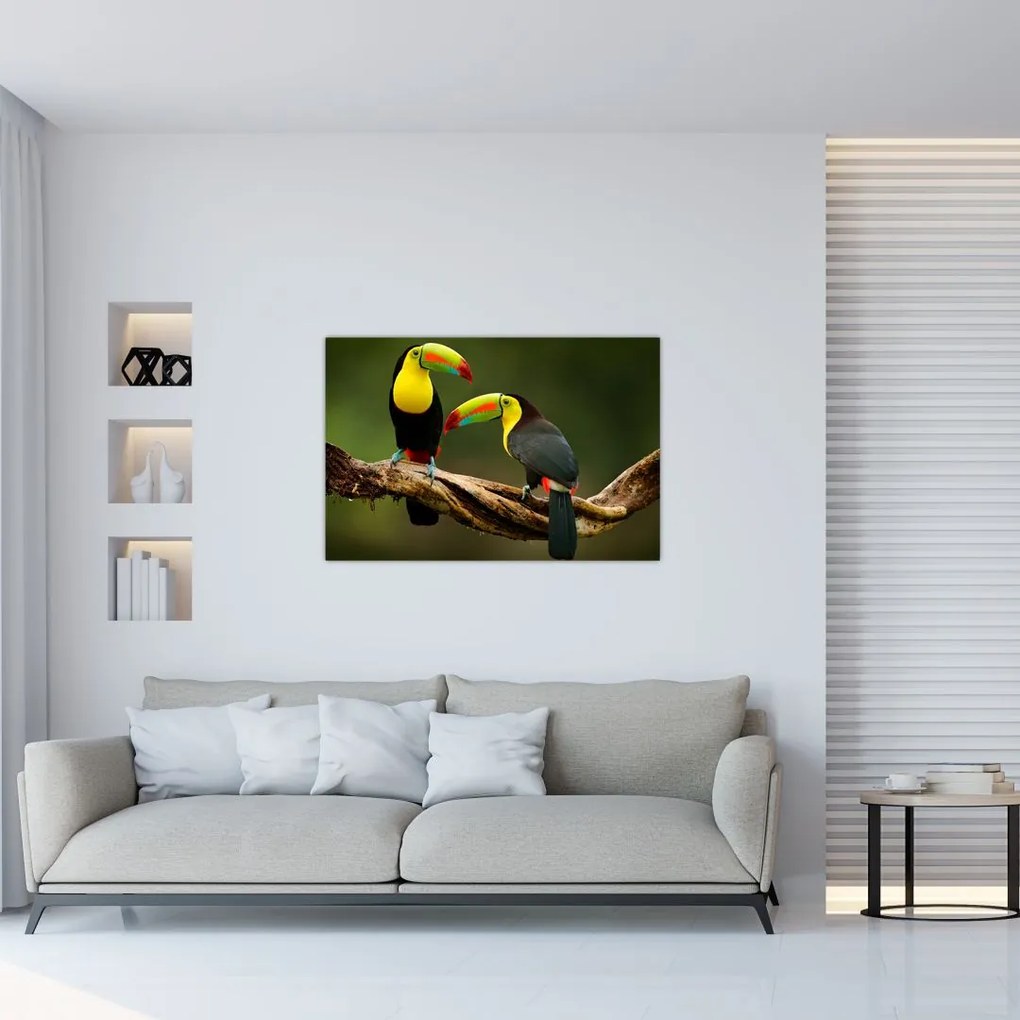 Ülő tukánok képe, Costa Rica (90x60 cm)