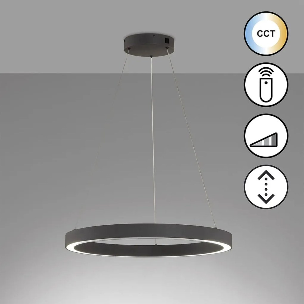 Fischer&Honsel Sirko 61049 Lepel lámpa 1x56W/LED 2700K 8000 lm IP20