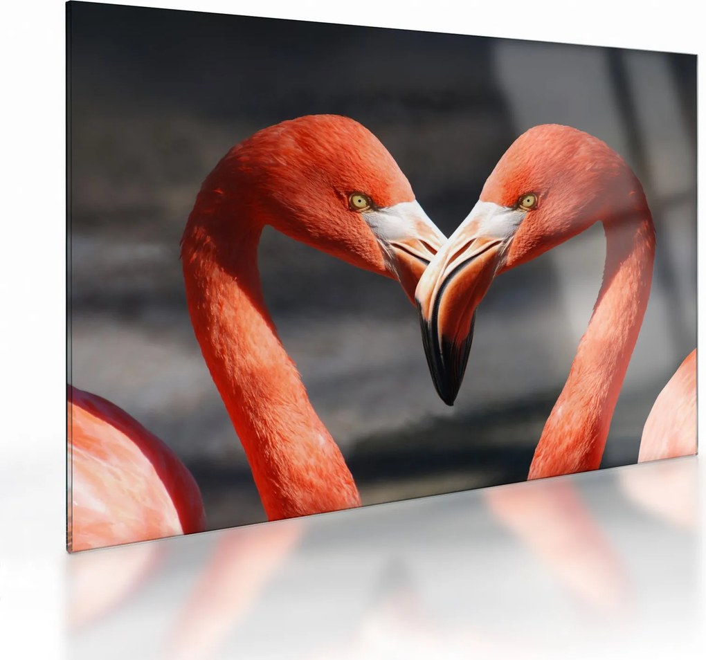 Két szerelmes flamingó képe (üvegen) (70x50 cm)