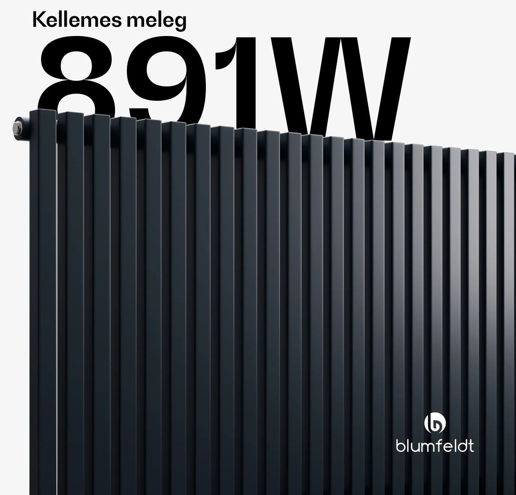 Blumfeldt Delgado radiátor | Modern kivitel | 63 x 100 cm | 891 W | Központi csatlakoztatás