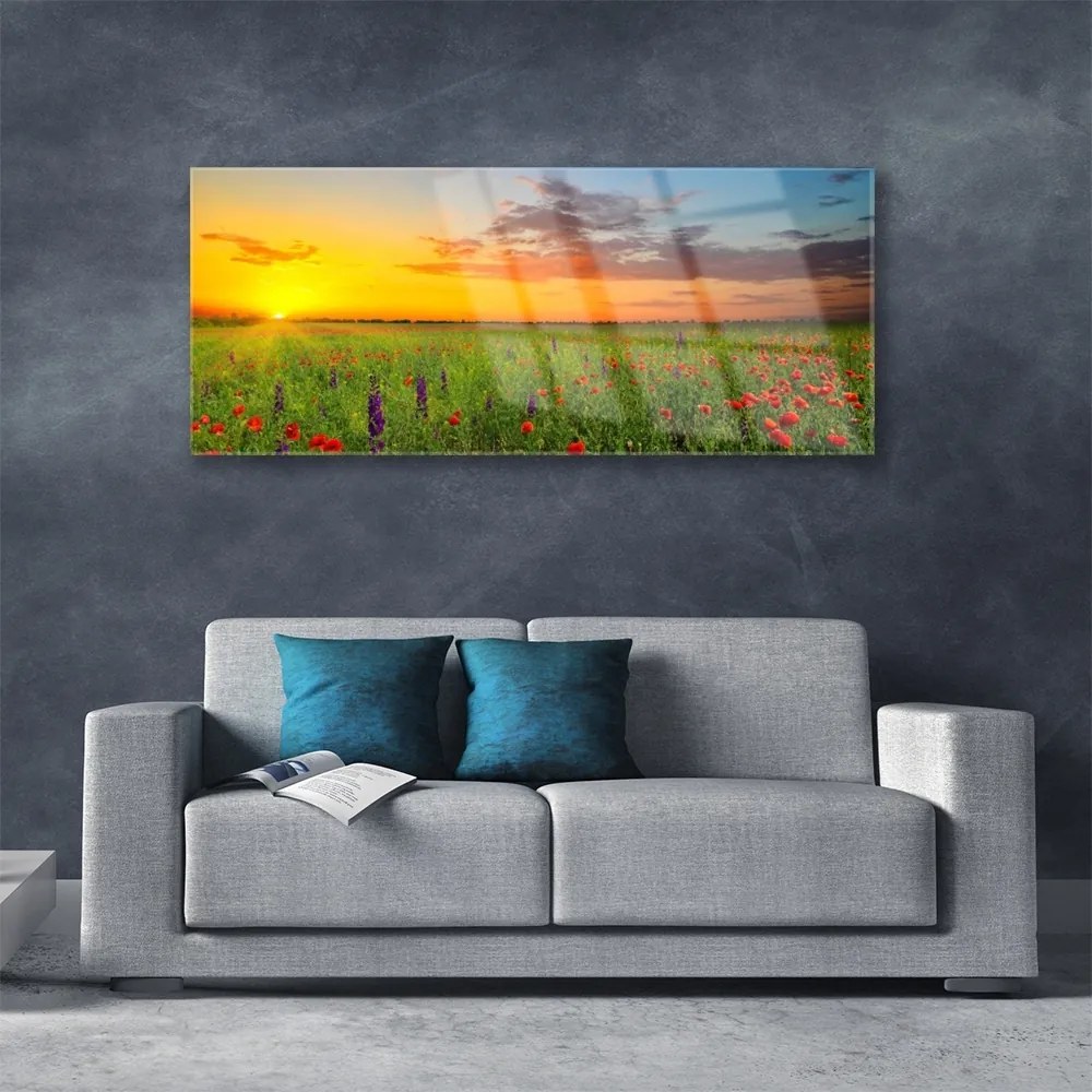 Akril üveg kép Sun mezei virágok Természet 100x50 cm