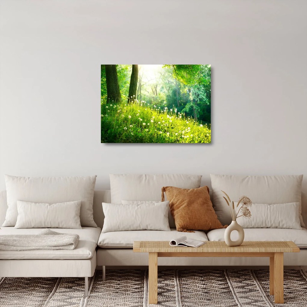 Üveg kép - Varázslatos rét tele pitypanggal (70x50 cm)