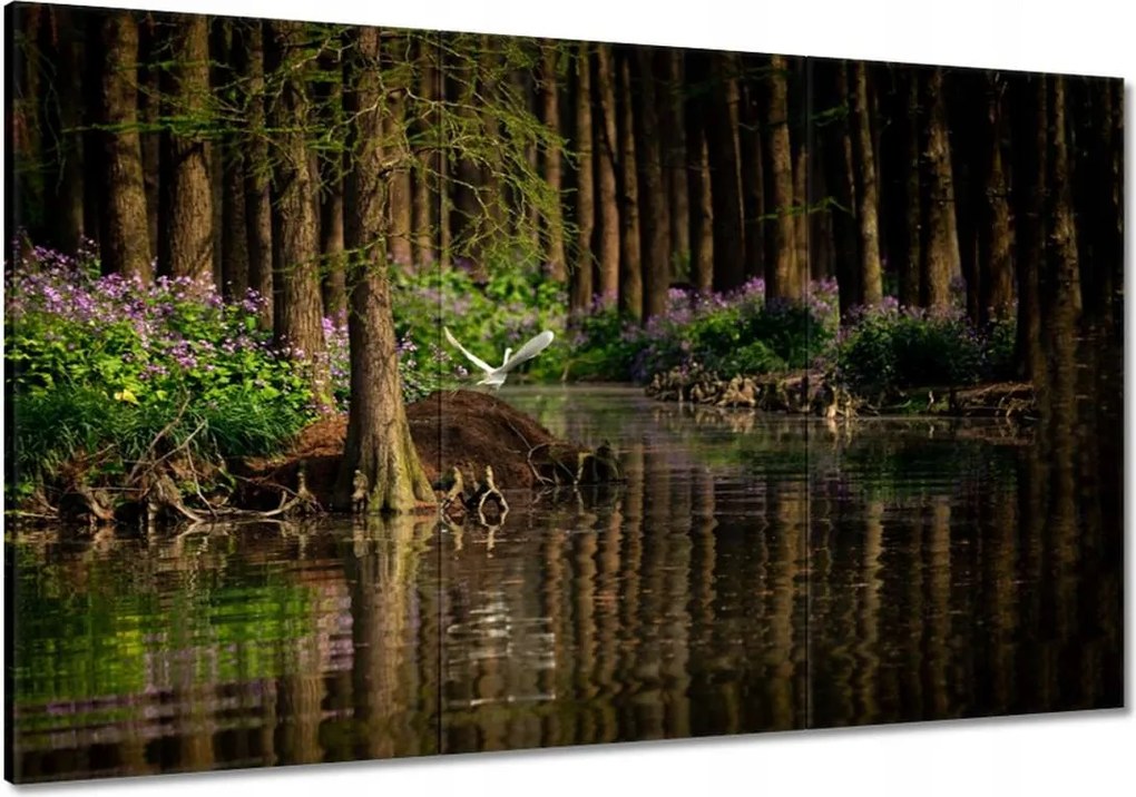 Festmények 120x80 Tájkép Látvány