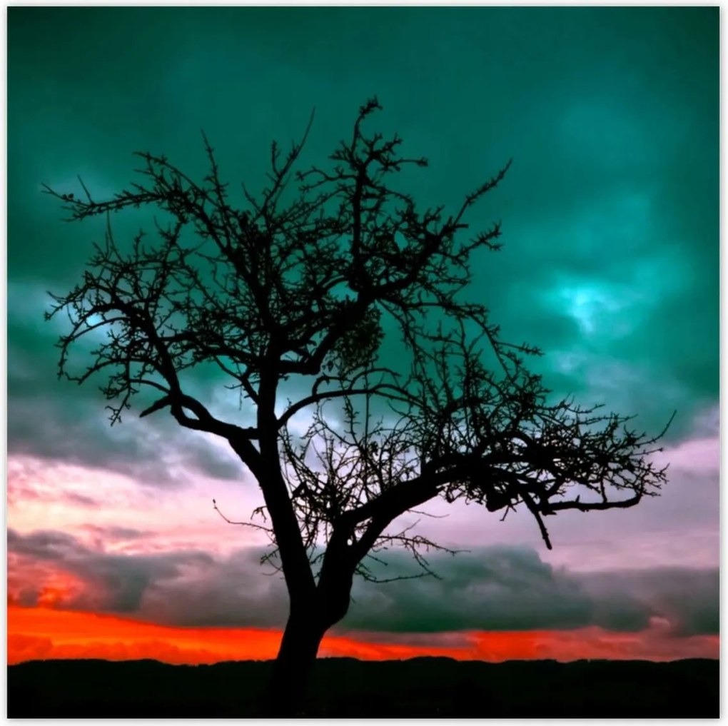 Poszterek 70x70 Naplemente a sivatagban