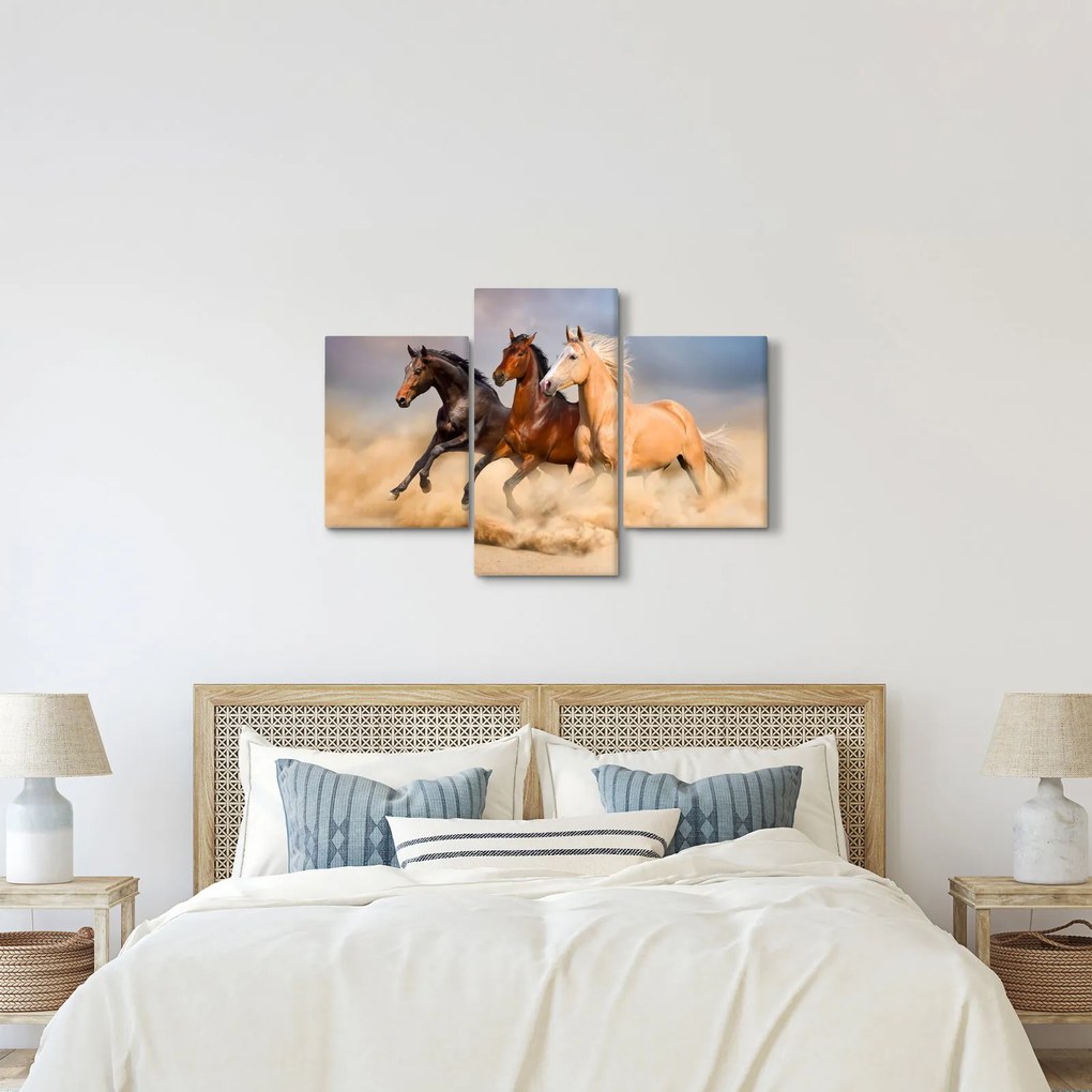 Kép - Vad lovak (90x60 cm)