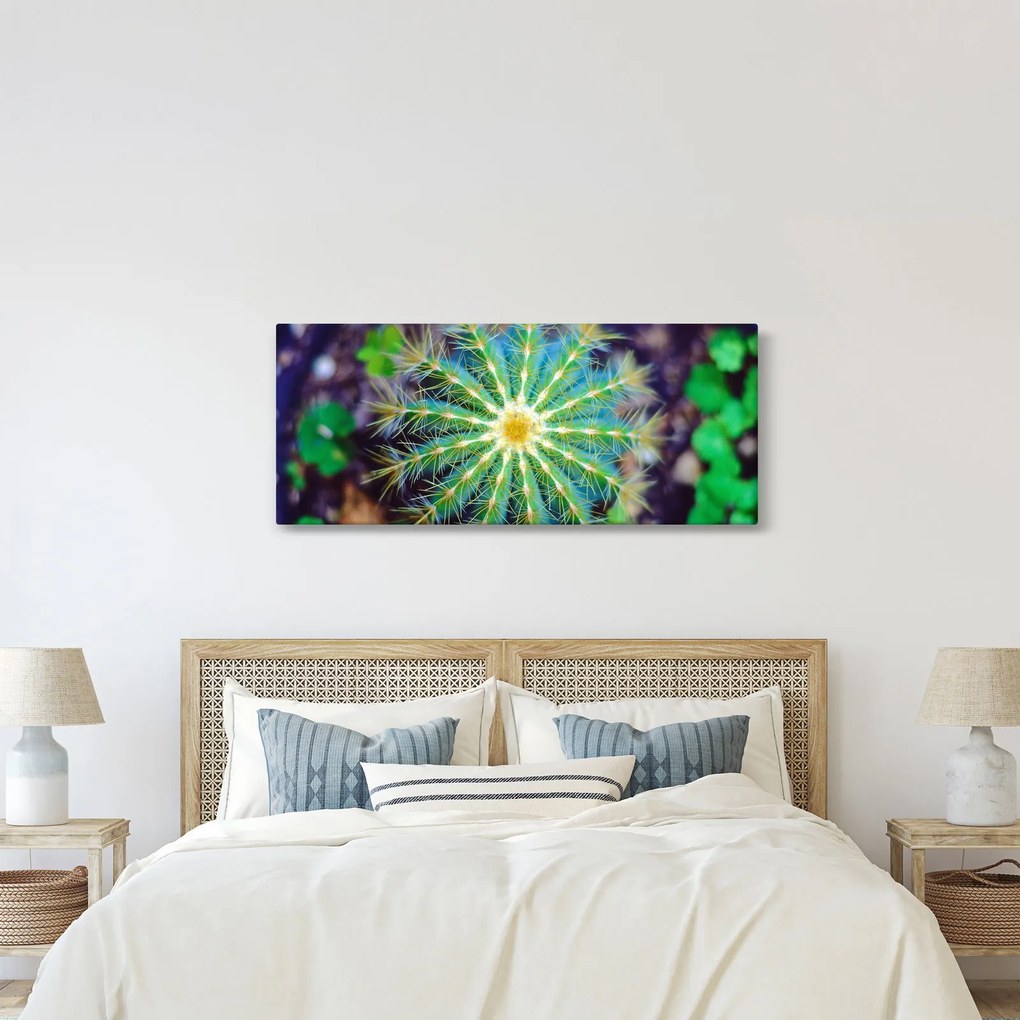 Kaktusz kép (120x50 cm)
