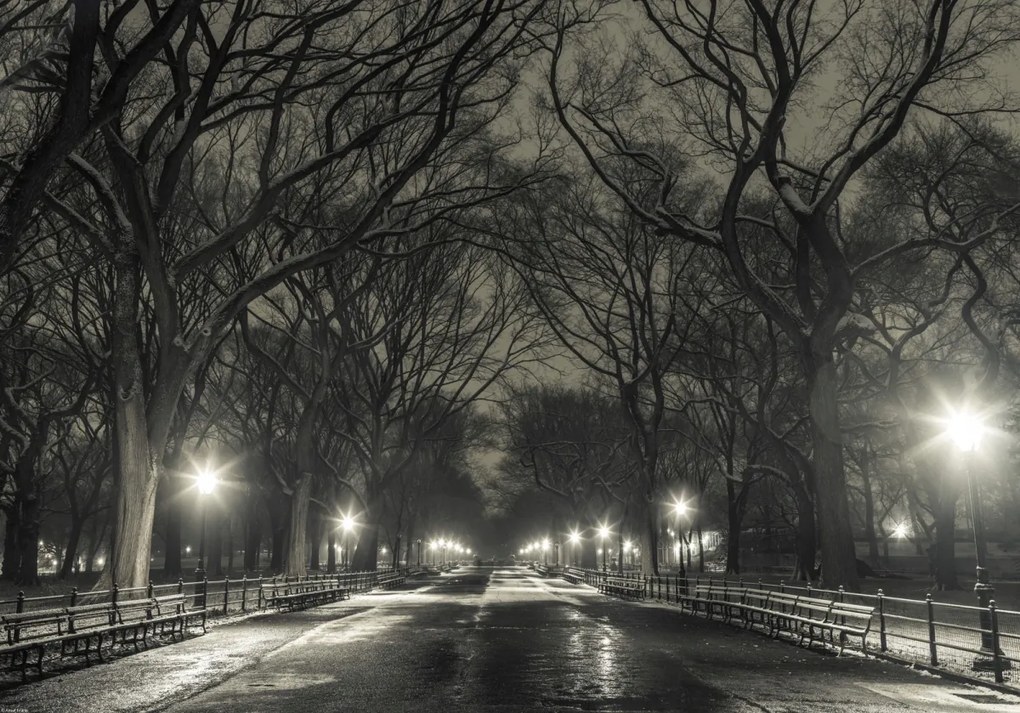 Poszter 66,5x46,5cm Éjszakai kilátás a Central Parkon át vezető útra, Assaf Frank