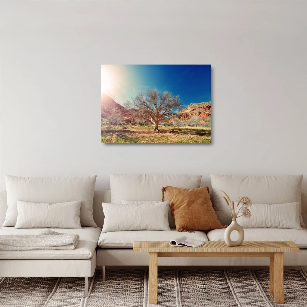 Fa a sivatagban képe (üvegen) (70x50 cm)