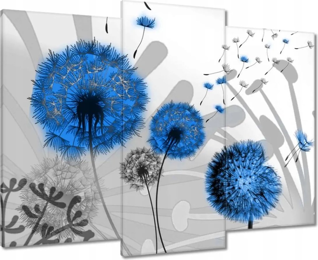 Vászonkép 90x70 Kék pitypangok