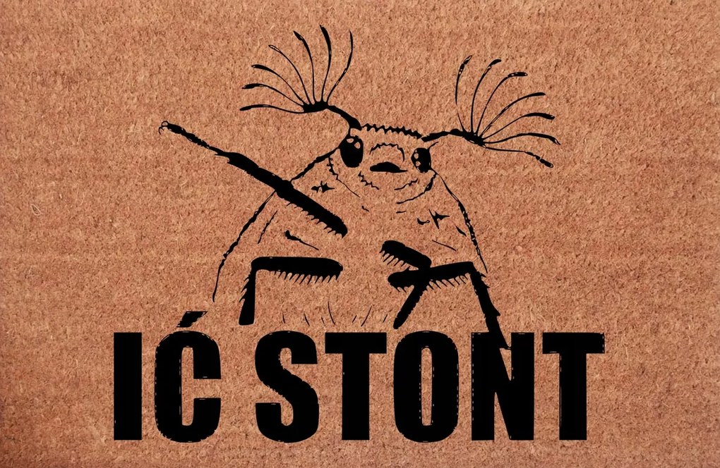 Lábtörlő Lábtörlő Ić Stont mintával Divatos Lábszőnyeg