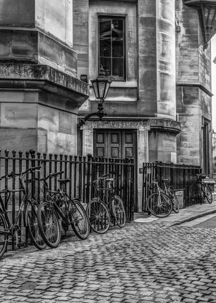 Poszter 50x70cm Kerékpárok a járdán, Assaf Frank