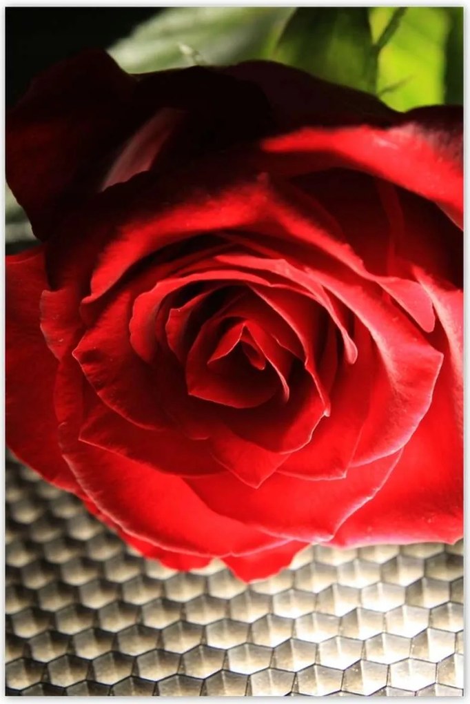 Poszterek 80x120 Érdekes ötlet