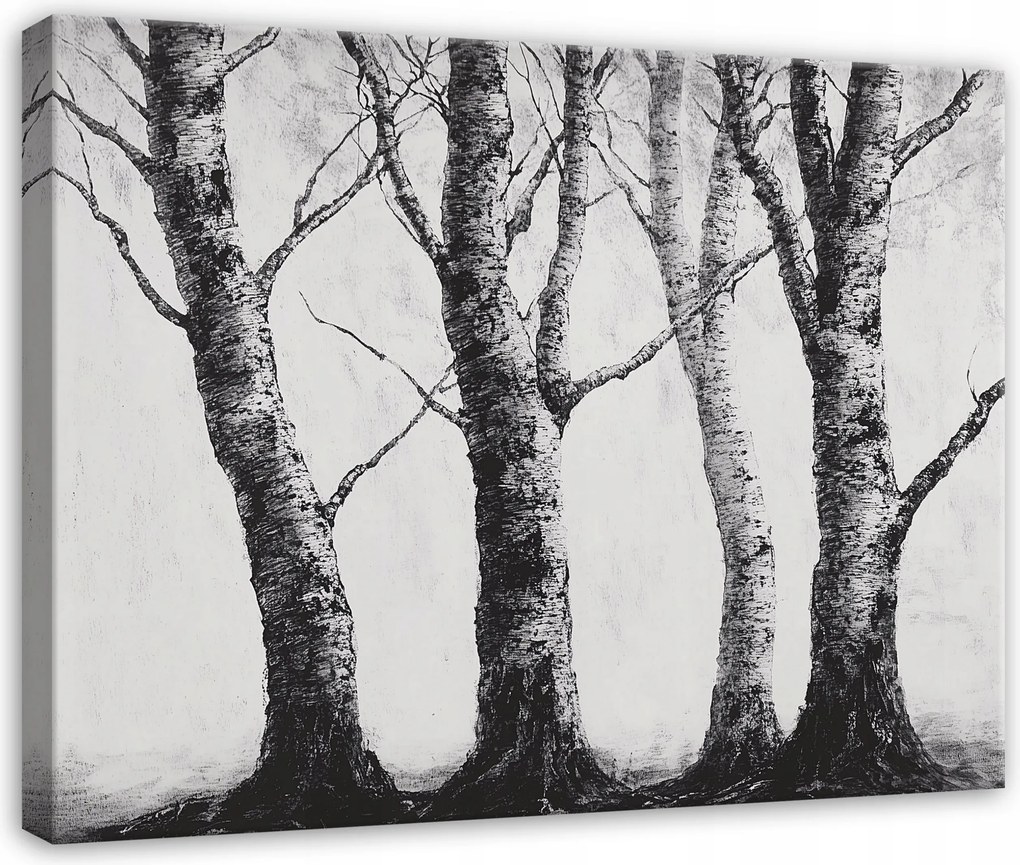 Vászonkép Erdő Fák Fekete-fehér Hálószoba Nappali Konyha 60x40