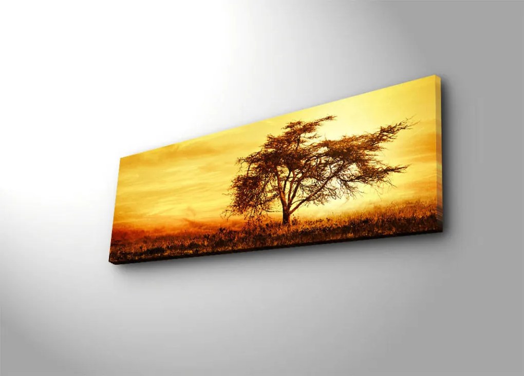 Vászonkép, 30×90 cm – TR239SHN3201