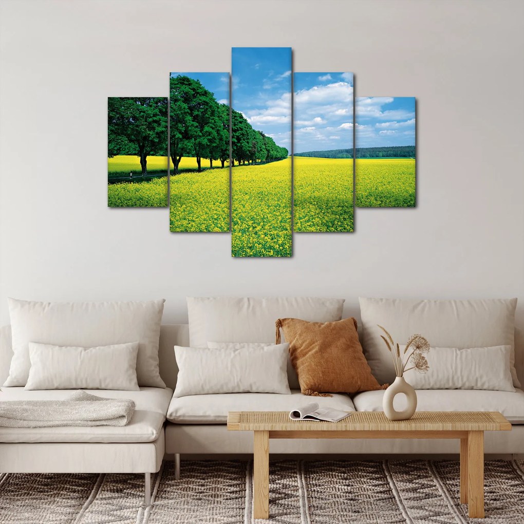 A mező képe egy sikátorral (150x105 cm)