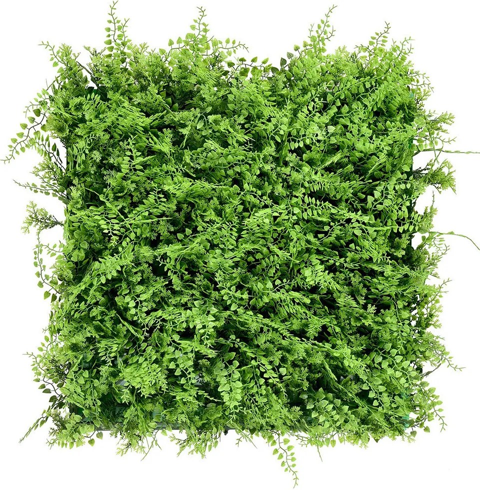 Vadpáfrány műanyag zöldfal 50x50 cm