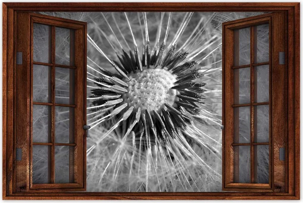 Poszterek 90x60 Pitypang Virág Virágok