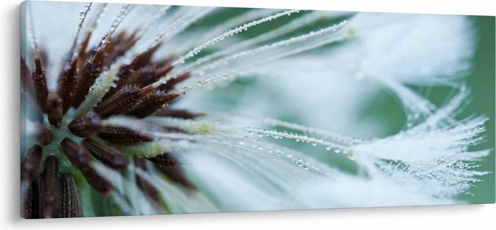 Kép - Egy virág részlete (120x50 cm)