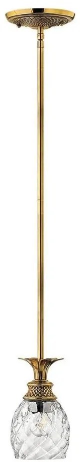 Hinkley HK-PLANTATION-MP-BB - Csillár rúdon PLANTATION 1xE27/60W/230V arany