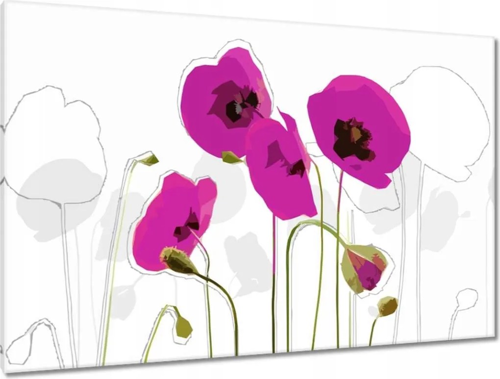 Vászonkép 120x80 Lila pipacsok Virágok