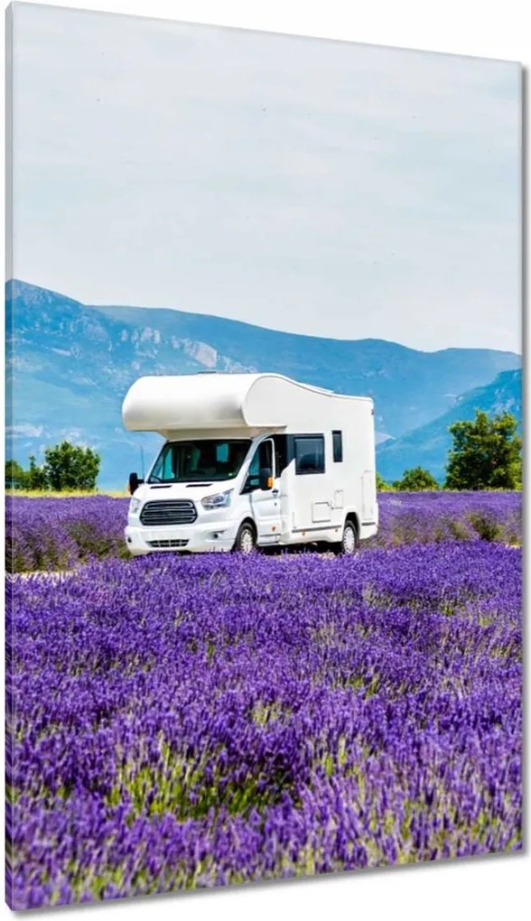 Vászonkép 80x120 Lakókocsi a levendulamezők között