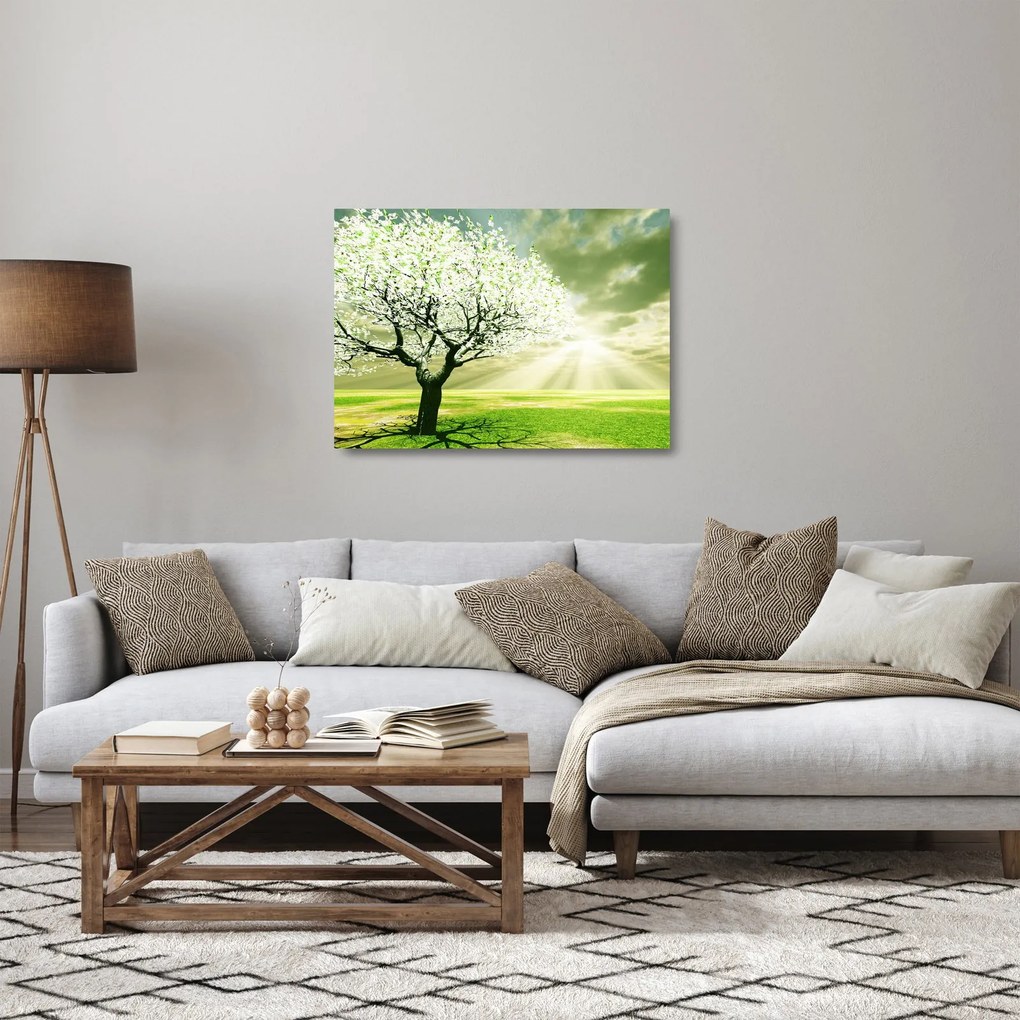 Virágzó fa képe (üvegen) (70x50 cm)