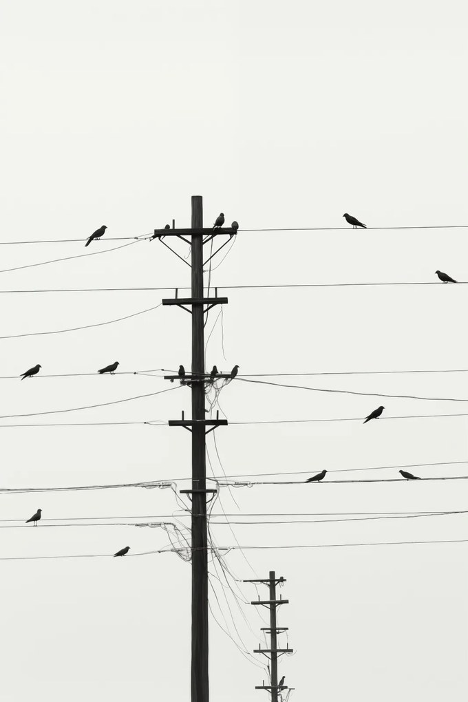 Poszter 30x45cm Szimfónia a drótokon