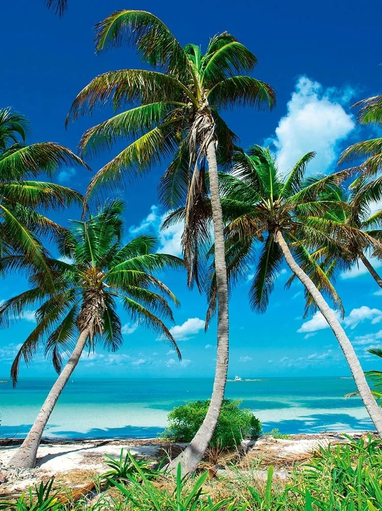 Fotótapéta Függőleges tenger tengerpart falfestmény Ragasztó Ajándék 206 x 275