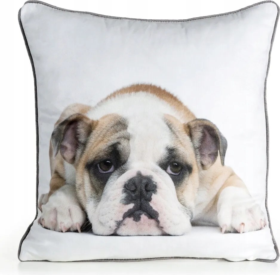 Dekoratív párnahuzat Animal 45x45 Eurofirany fehér angol bulldog kutyus