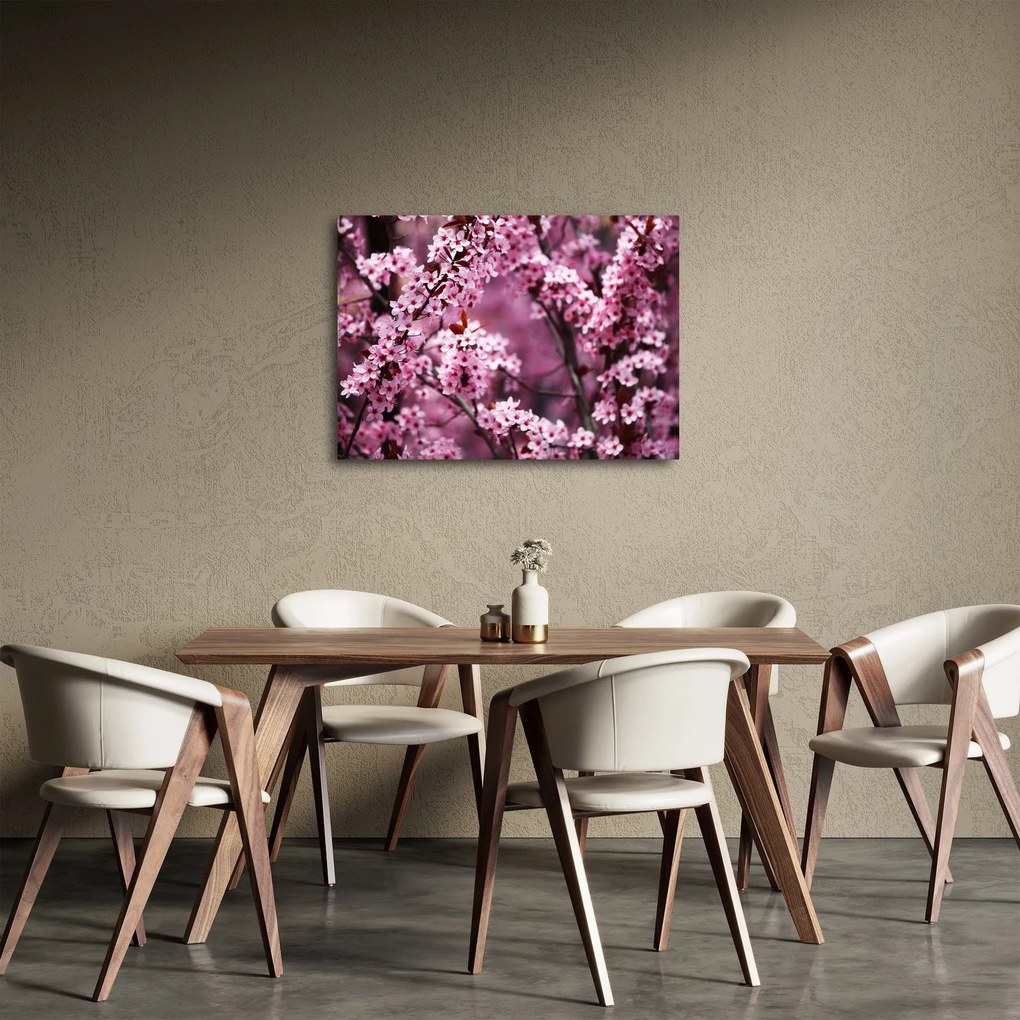 Kép - Rózsaszín sakura (70x50 cm)