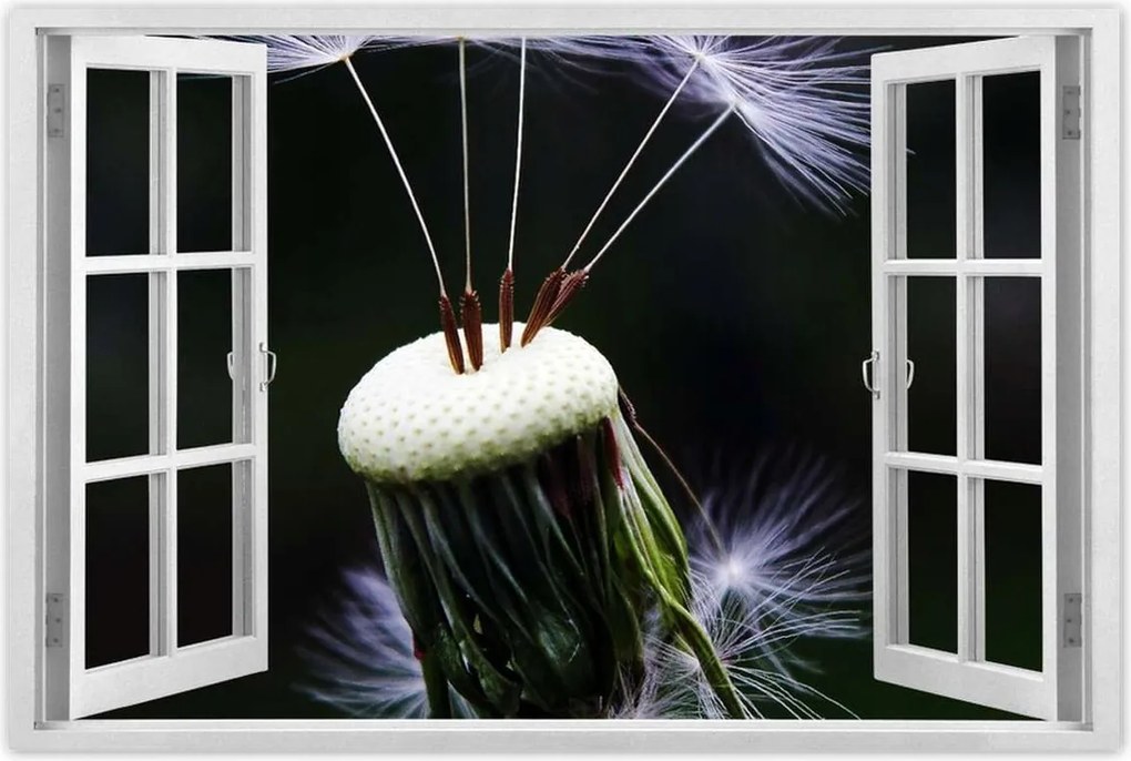 Poszterek 120x80 Pitypang Virág Virágok