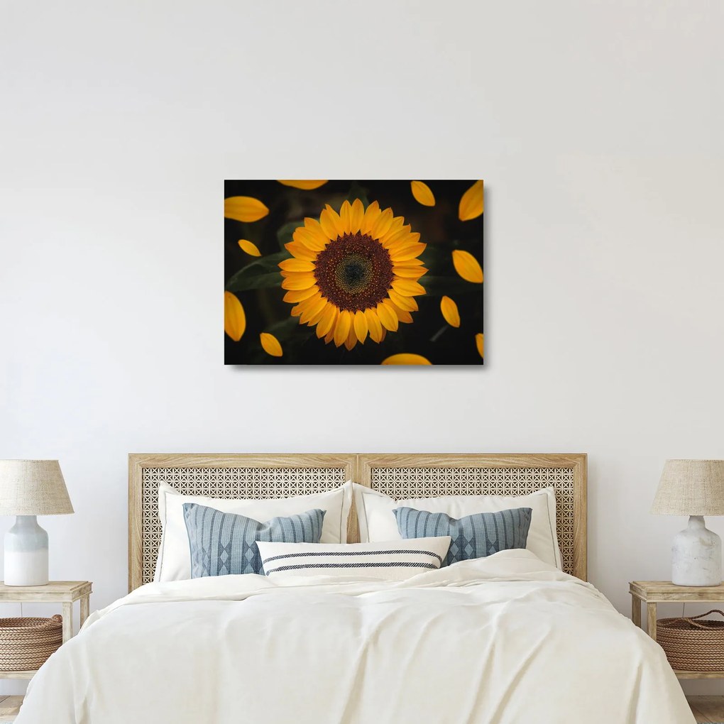Kép - Napraforgók és a virágszirmok (üvegen) (70x50 cm)