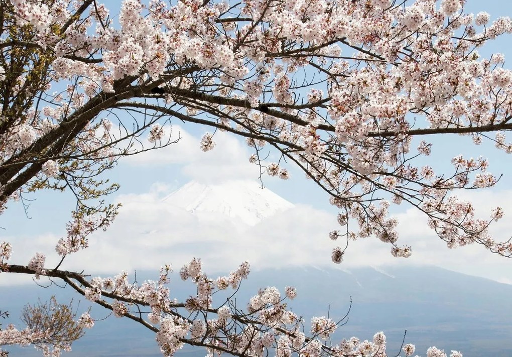 Fotótapéta fa levelek fotótapéta 152,5 x 104 11800VEL